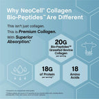 Grassfed Collagen Bio-Peptides, 20 oz (567 g) Powder